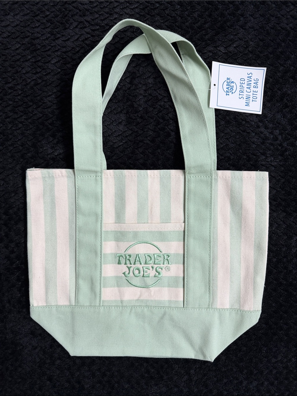 Trader Joe's Mint Striped Mini Canvas Tote Bag